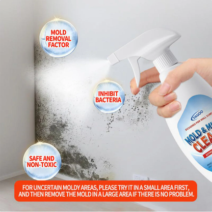 🎅Christmas Hot Sale  Ends Today: 70% OFF! Yagoo ™HomeShield Mold Remover