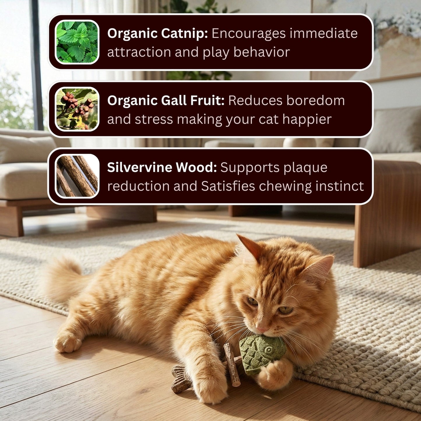 Let Your Cat Brush Their Own Teeth! 🦷🐱Catnip & Silvervine Chew (Buy 1 Get 1 FREE)